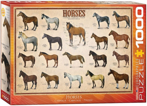 Eurographics jigsaw puzzle Horses