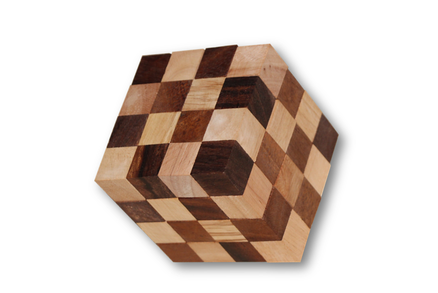 Anaconda Snake 3D Cube 4X4X4 puzzle Wooden 3D Logic Wood Brain Teaser Puzzle
