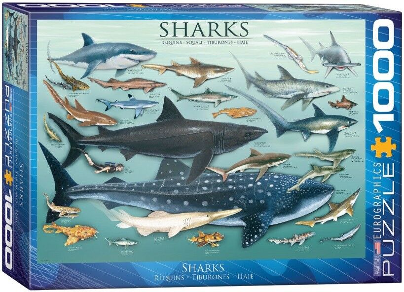 Eurographics jigsaw puzzle 1000 Sharks