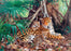 Castorland jigsaw puzzle 3000 - Jaguars in the Jungle