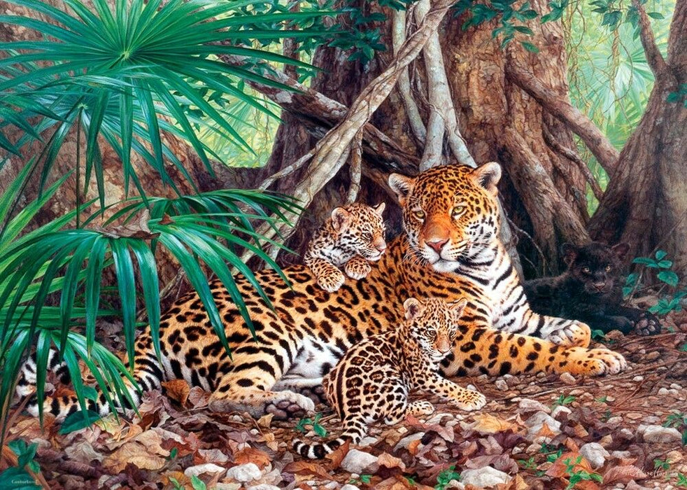Castorland jigsaw puzzle 3000 - Jaguars in the Jungle